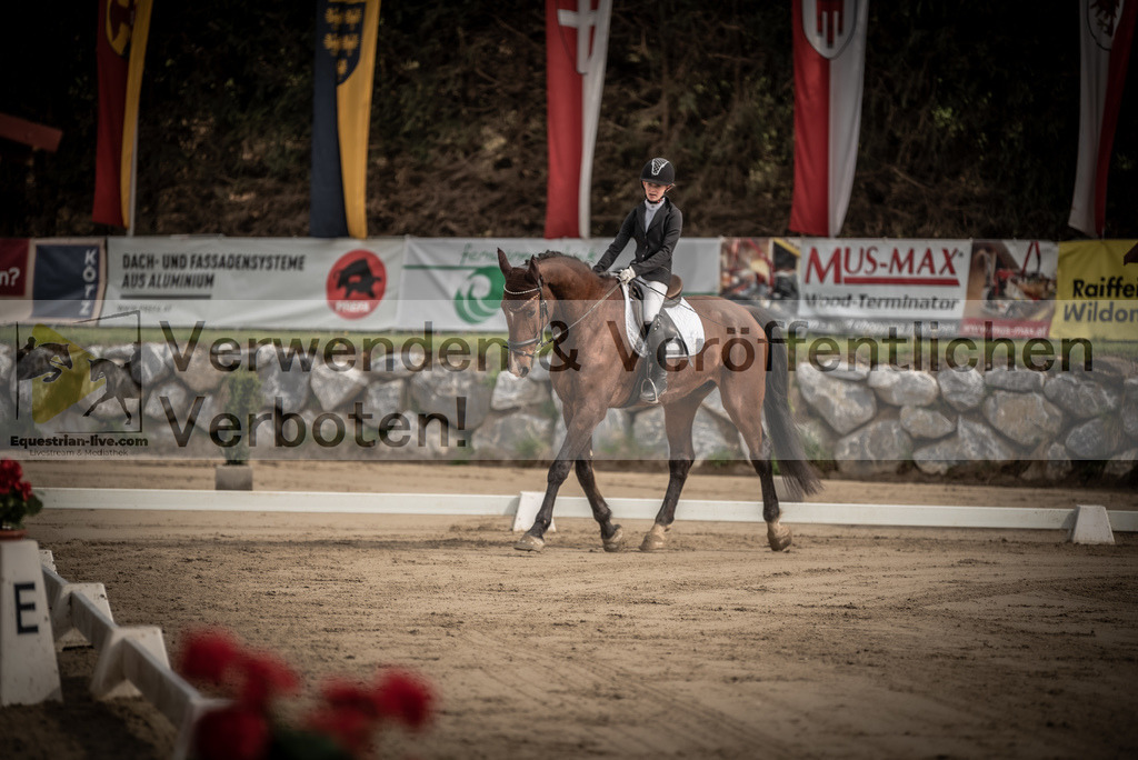 DSC_8274 | equestrian-live-com