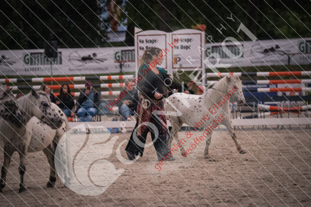 DSC_0158 | Sport-, Event- und Tierfotos in Profiqualität. Einfach auswählen, bestellen und herunterladen. Dein Moment – perfekt festgehalten.