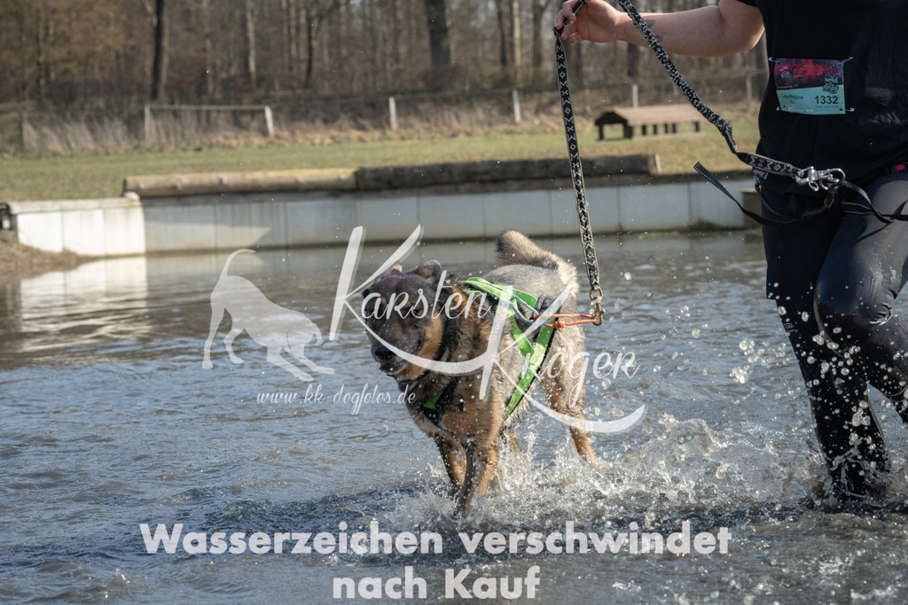 1317_ZZ95687 | kk-dogfotos