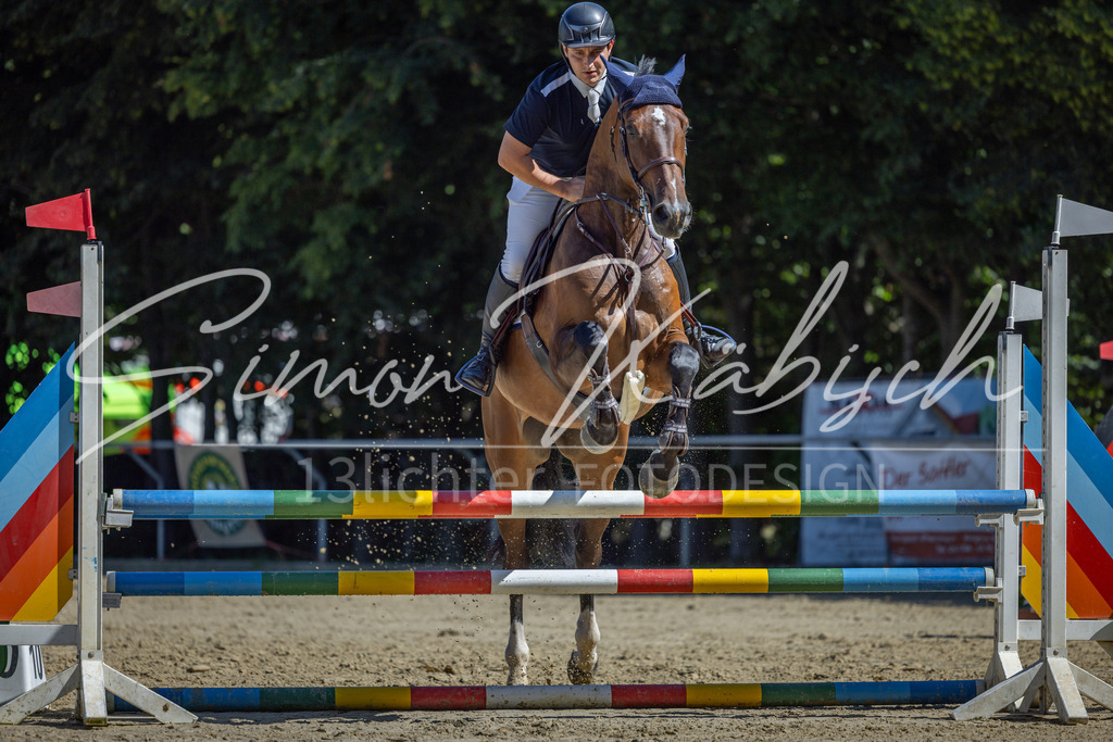 20260704-_3LI7655 | Tierfotografie Pferde, Hunde, Katzen, Haustiere.
Turnierfotografie Reitturniere, Reiten, Springreiten, Dressur in Hanau, dem Main-Kinzig-Kreis und dem Rhein-Main- Gebiet um Frankfurt