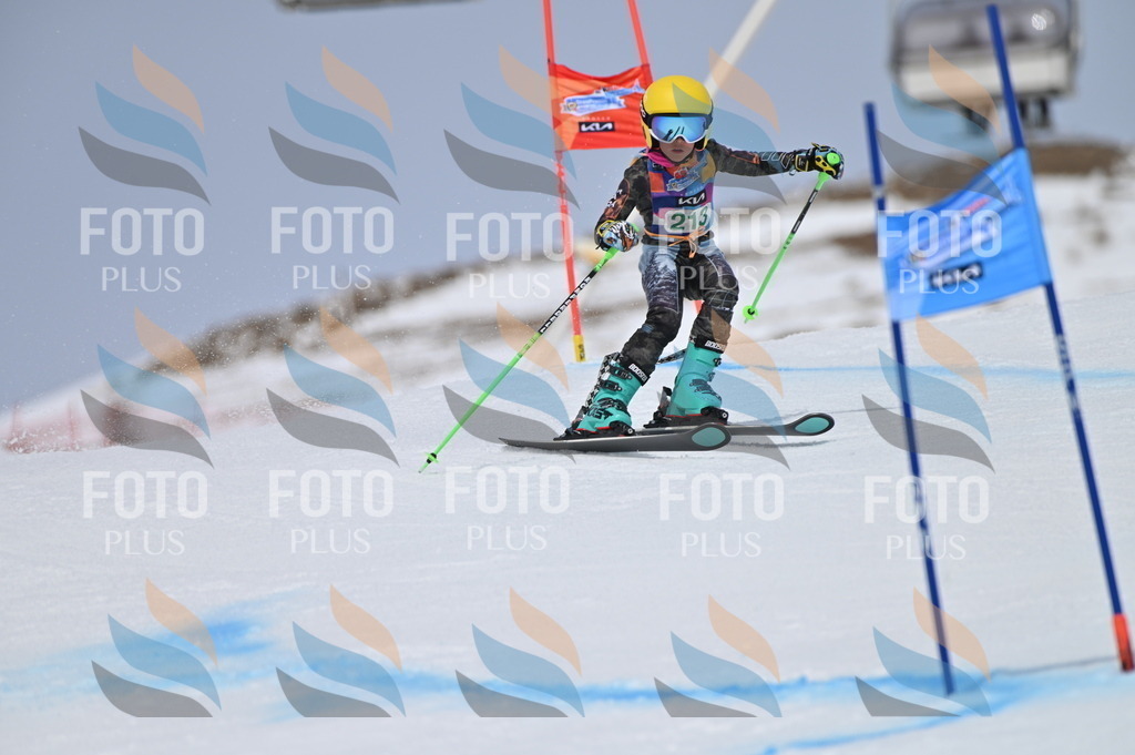 BGV_4131 | holidayphoto