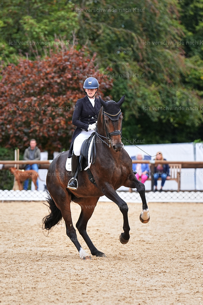 6-086-AMATUER-DRESSUR S_  -Marixx-3743 | working equitationturnier fotograf videograf stoibphotography marixx film working equitation deutschland reitsport turnierfotografie eventfotografie equestrian events