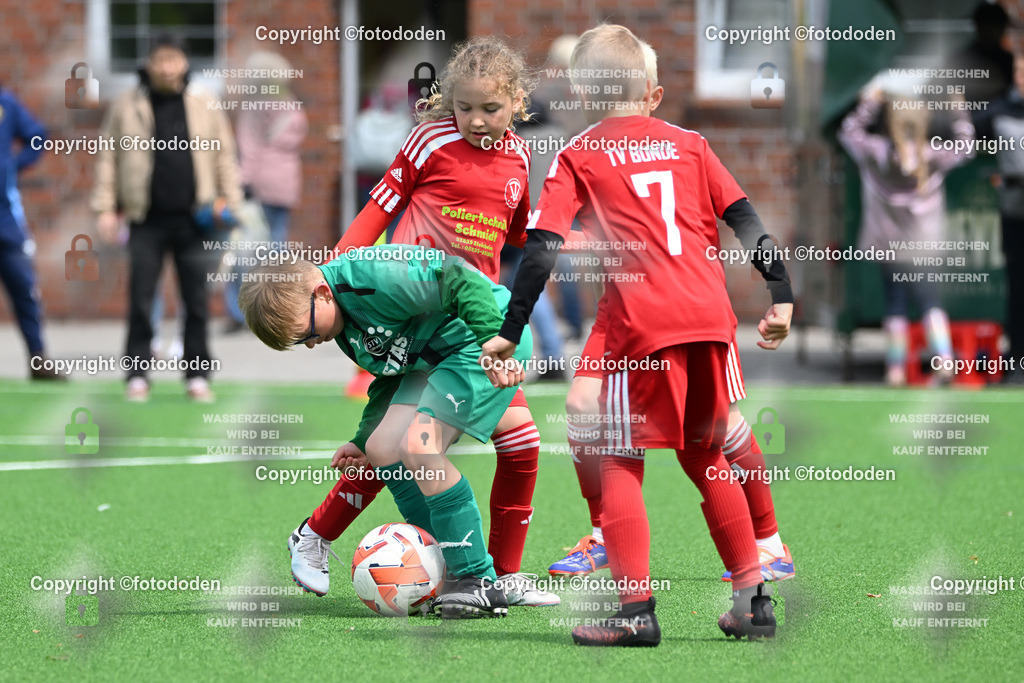 DSC_7280 | STV Wilhelmshaven (grün) / TV Bunde (rot)