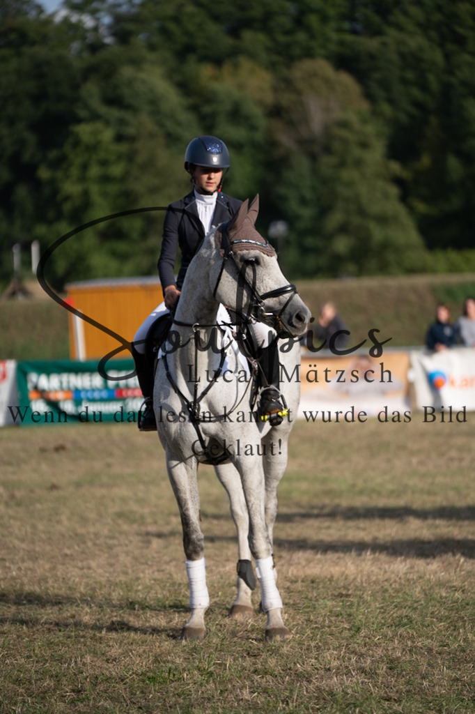 A7V09886 | Pferdefotograf