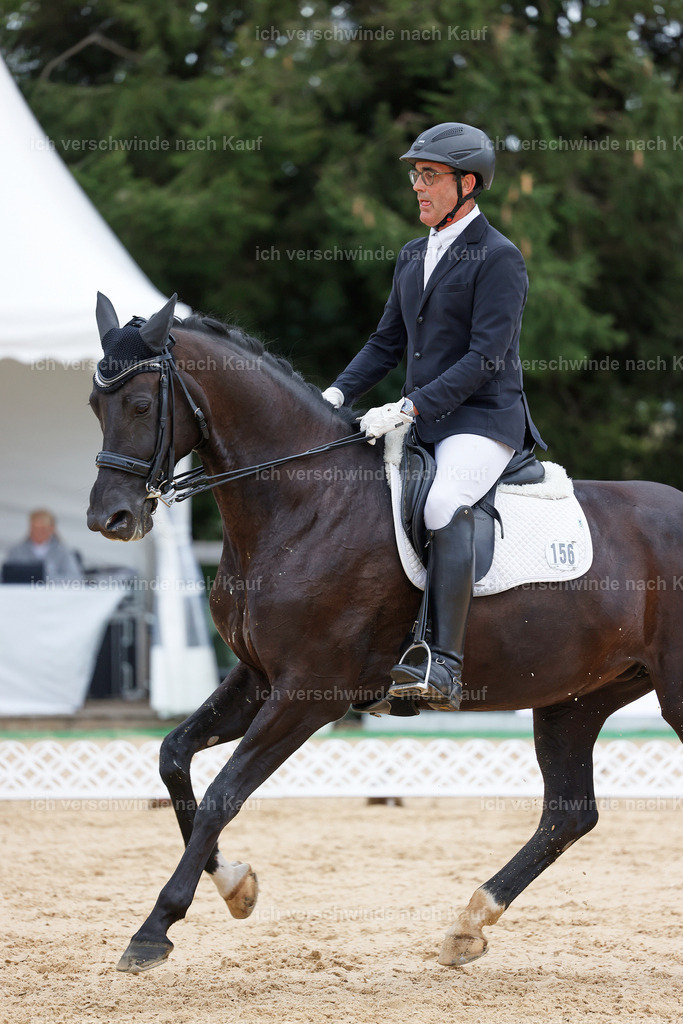 04_2-156-Dressur M__ -StoibPH-2875 | working equitationturnier fotograf videograf stoibphotography marixx film working equitation deutschland reitsport turnierfotografie eventfotografie equestrian events