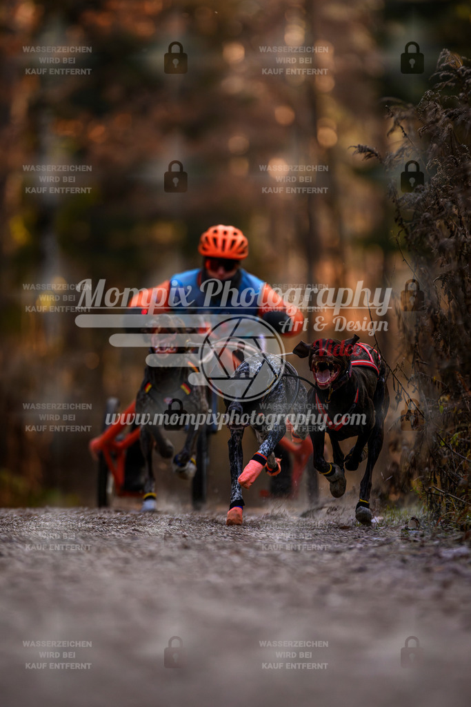 MompixPhotography_DM_AKDM_SO_2025_Wagen-35 | PayLife