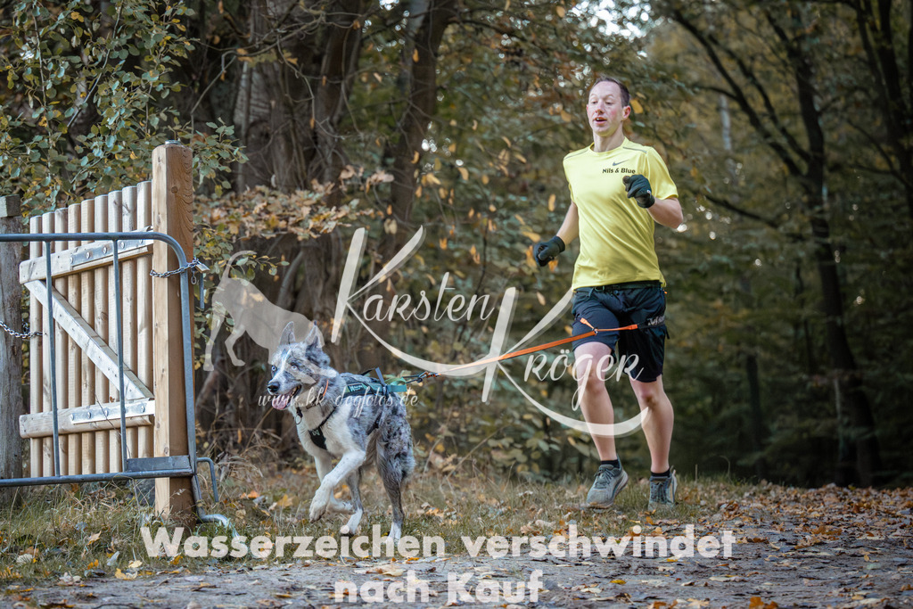 0812_ZZ93925 | kk-dogfotos