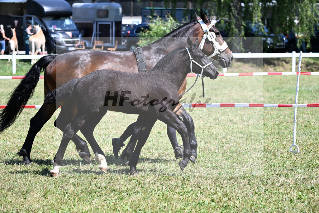 Kat-Nr. 11 SF v. Ruescherl x Retter_Bauer_22250264 | hf-fotografie - Realizzato con Pictrs.com