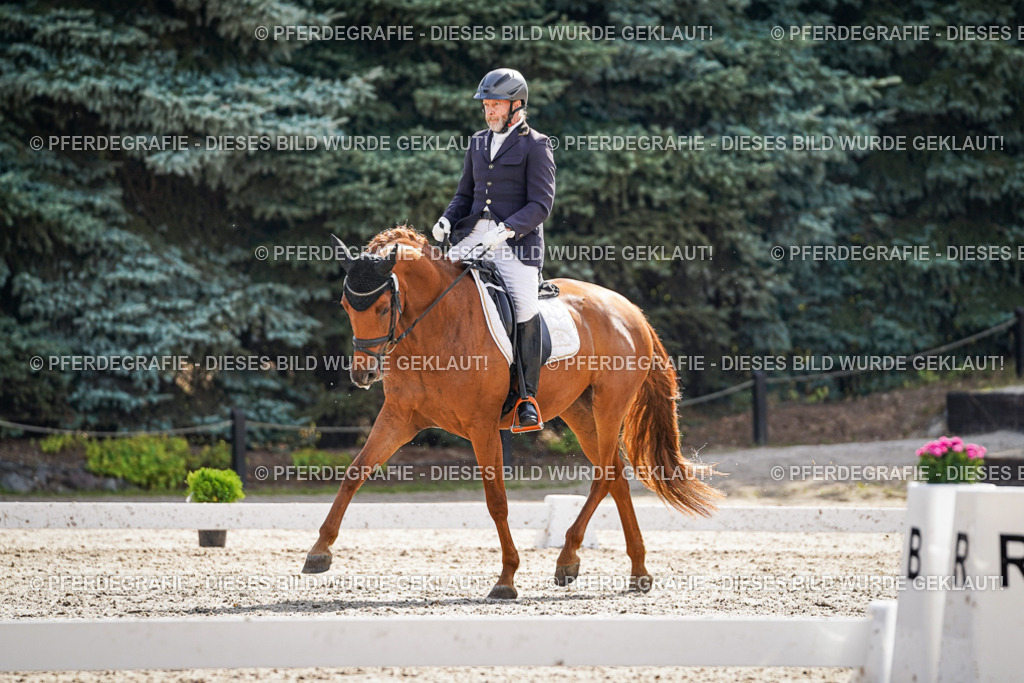 DSC06726 | Pferdegrafie