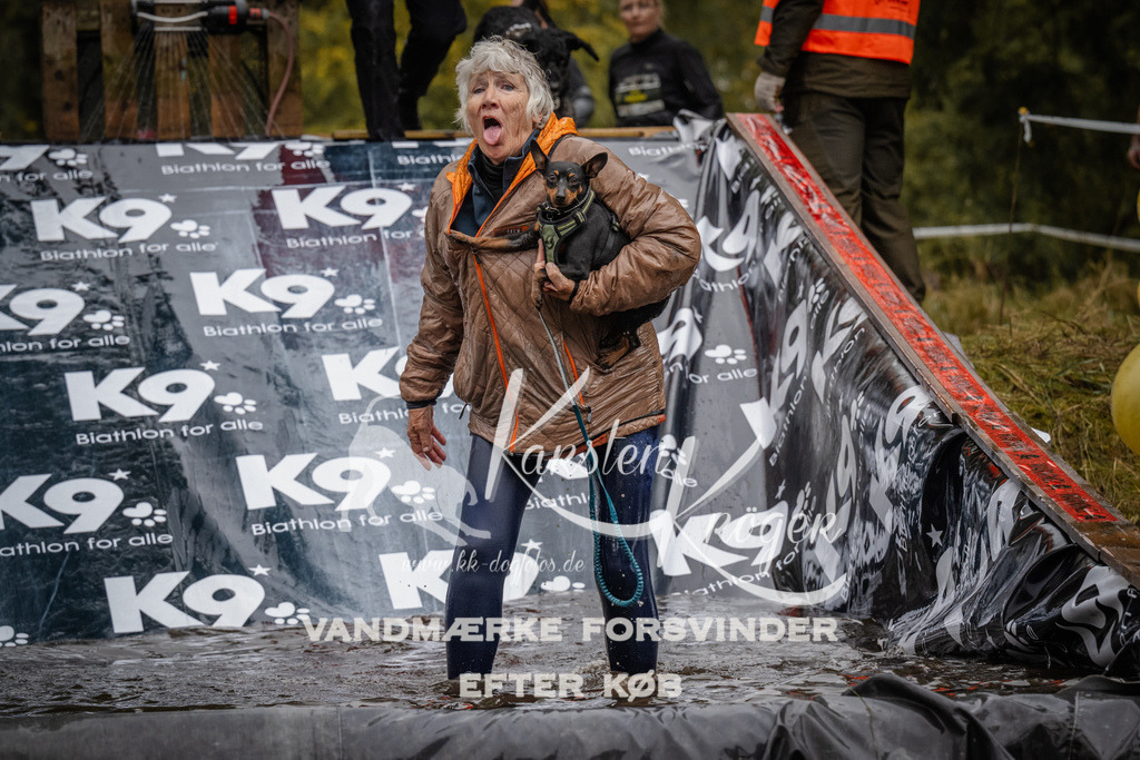 1111_ZZ91972 | kk-dogfotos