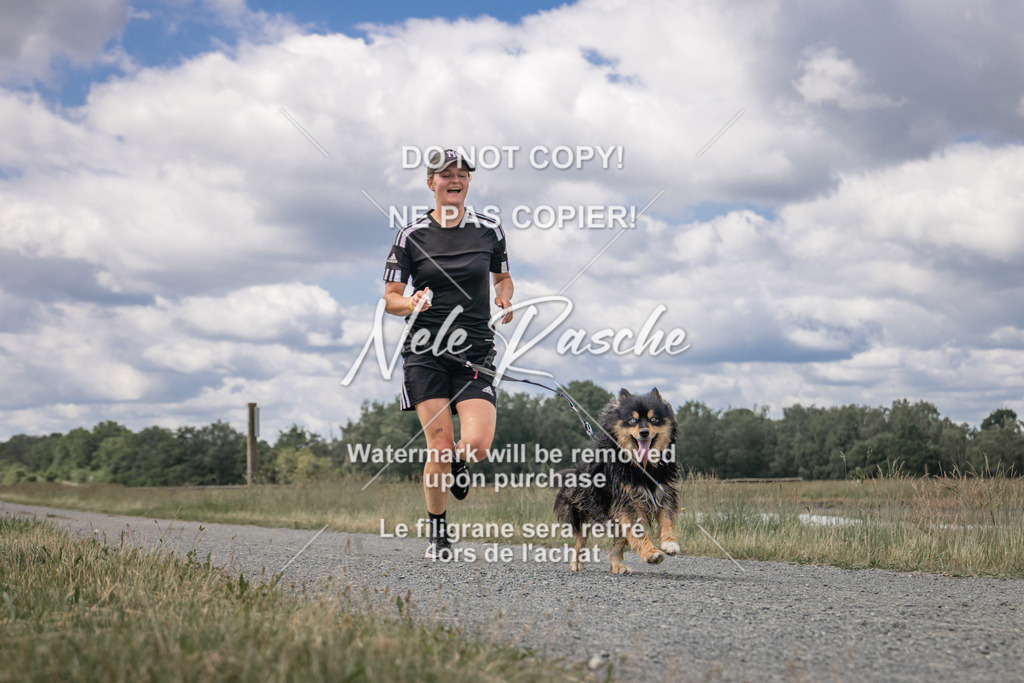 nelerasche_BuHu2026_SaCC1100-1200_129 | nelerasche
