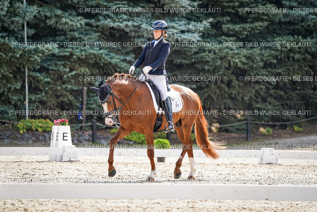 DSC06507 | Pferdegrafie