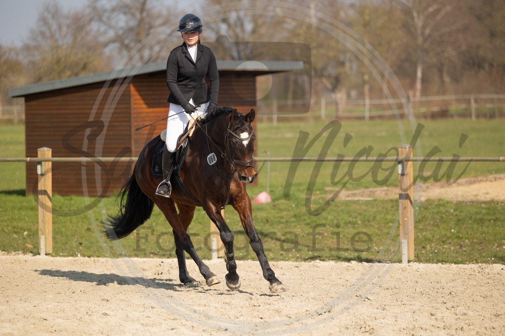 994A9733 | sabrinanicolaifotografie - Realisiert mit Pictrs.com