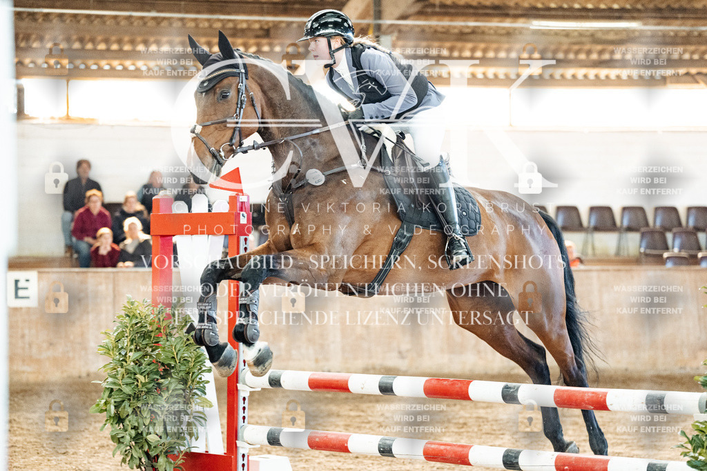 CK904656 | Turnierfotografie Pferdefotografie Trier Rheinland-Pfalz Pferdesport Reitsport Tierfotografie Sportfotografie Pferdevideo Pferdevideografie Equestrianvideography equestrianphotography  - Realisiert mit Pictrs.com