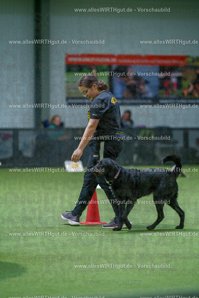 7R501151 | Professionelle Tierfotografie in Mönchengladbach von Daniel Wirth (allesWIRTHgut). Liebevolle & natürliche Bilder von Hunden & Katzen für unvergessliche Erinnerungen.