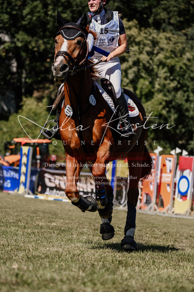 DSC_2588 | Pferde- und Turnierfotografie in Westsachsen. Pferdeportraits, Auftragszeichnungen und intuitive Kunst.