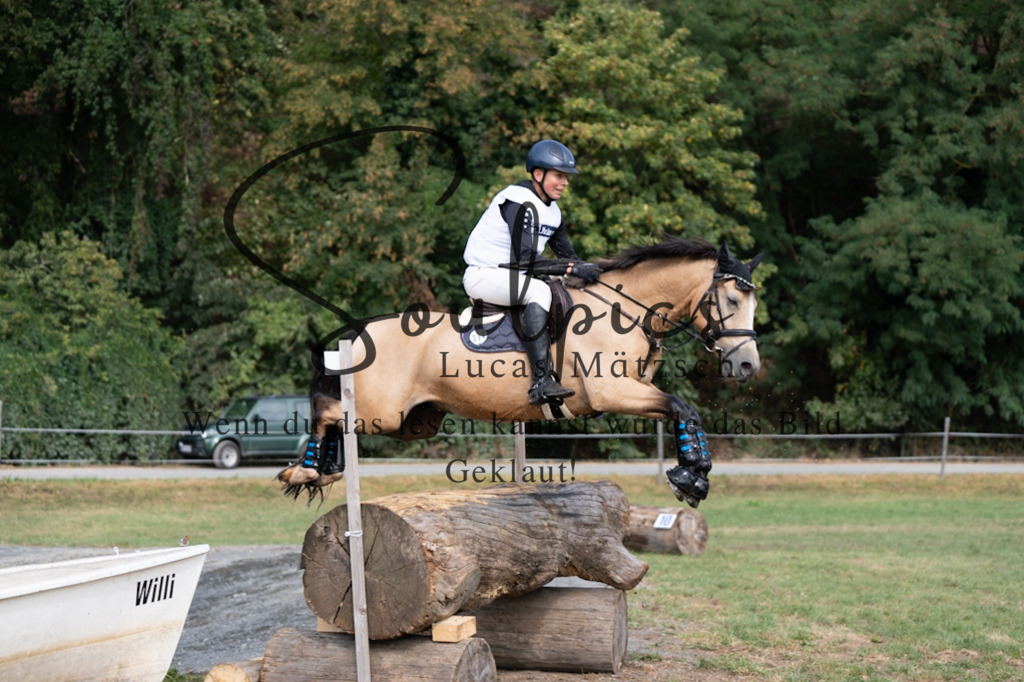 A7V00799 | Pferdefotograf