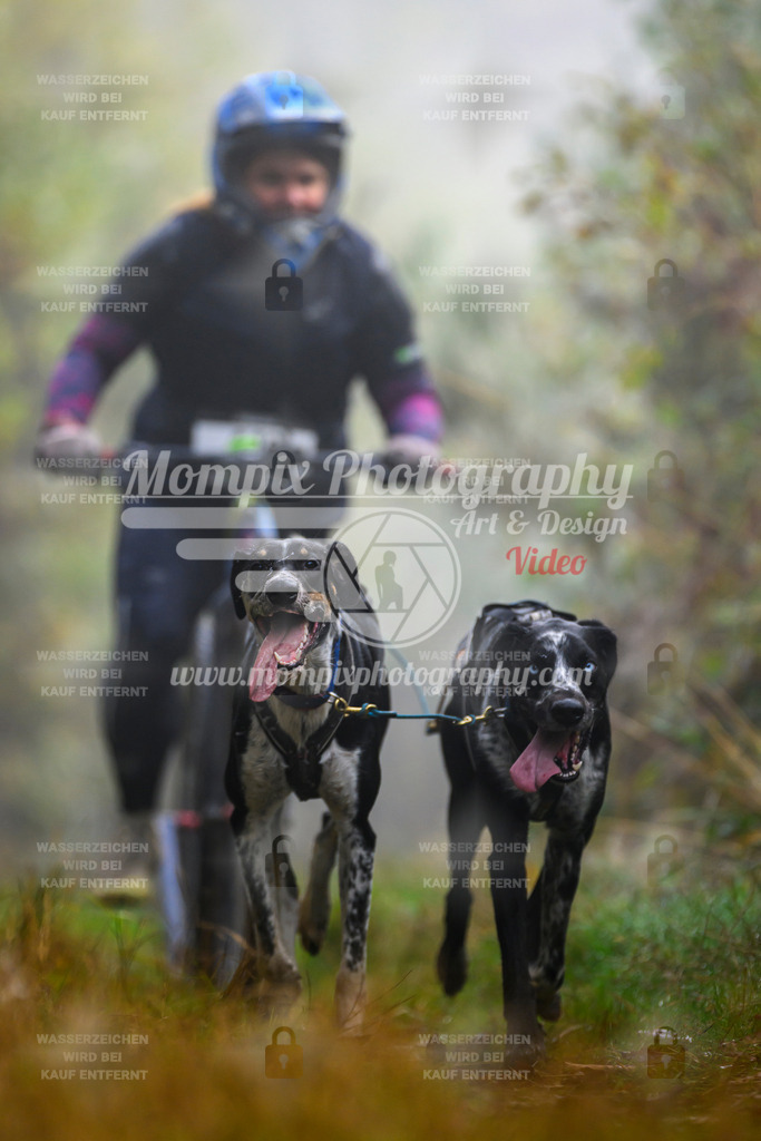 MompixPhotography_20TSB_E4_DS2-17 | PayLife