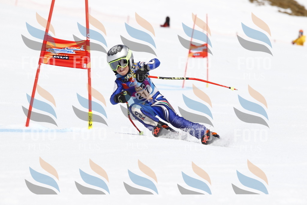 _U3G5599 | holidayphoto