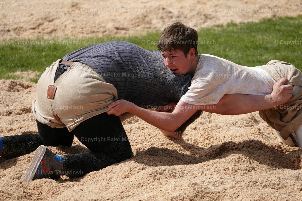 k-DSC03041 | Schwingen - Realisiert mit Pictrs.com