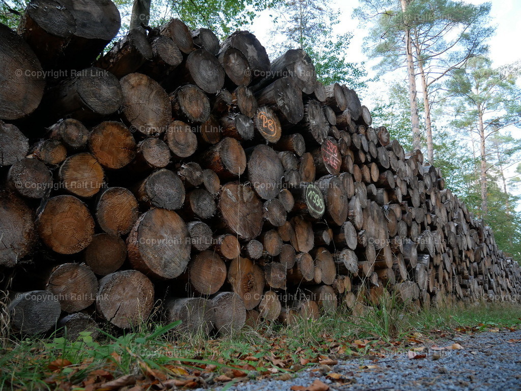 P1000491 | Stockfotos, Fotos mit Miniaturfiguren und kreativen Ideen. Dabei auch vieles aus der Metropolregion Rhein-Neckar. 