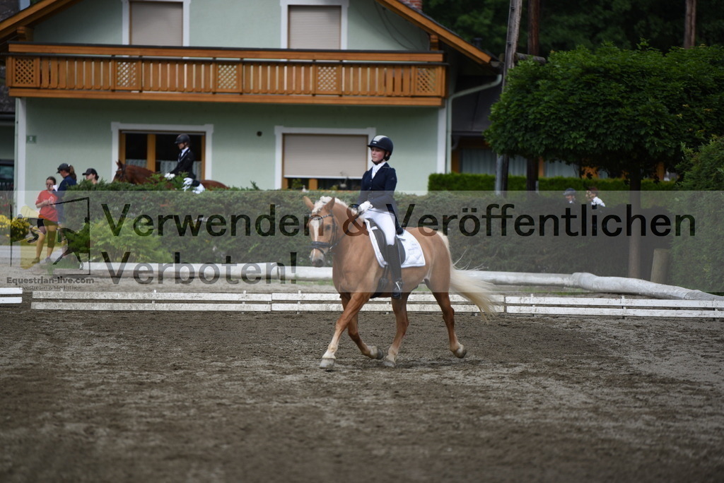 DSC_5017 | equestrian-live-com