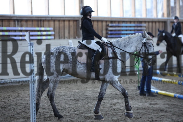 Prfg.Nr.02_Gruppe 5_Emilia Fazel_Gabana Magique (2) | Alle Fotos der Reiterjournal Fotografin Doris Matthaes im Reiterjournal Online-Fotoshop. - Realisiert mit Pictrs.com