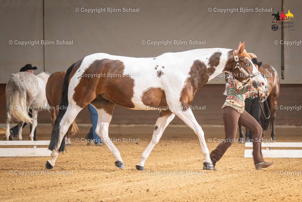LMS05462 | BS-foto
