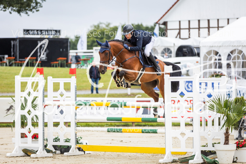 BHO-2PhSpr-M-5-2012 | MomenTaufnahmen Pferdesportfotos