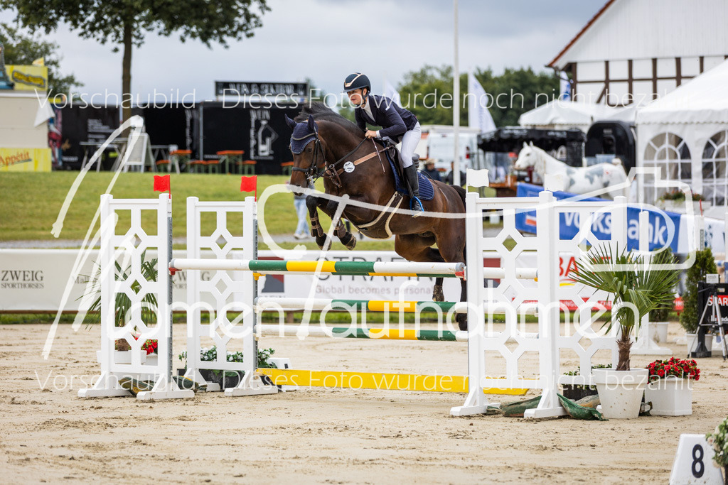 BHO-2PhSpr-M-5-2212 | MomenTaufnahmen Pferdesportfotos