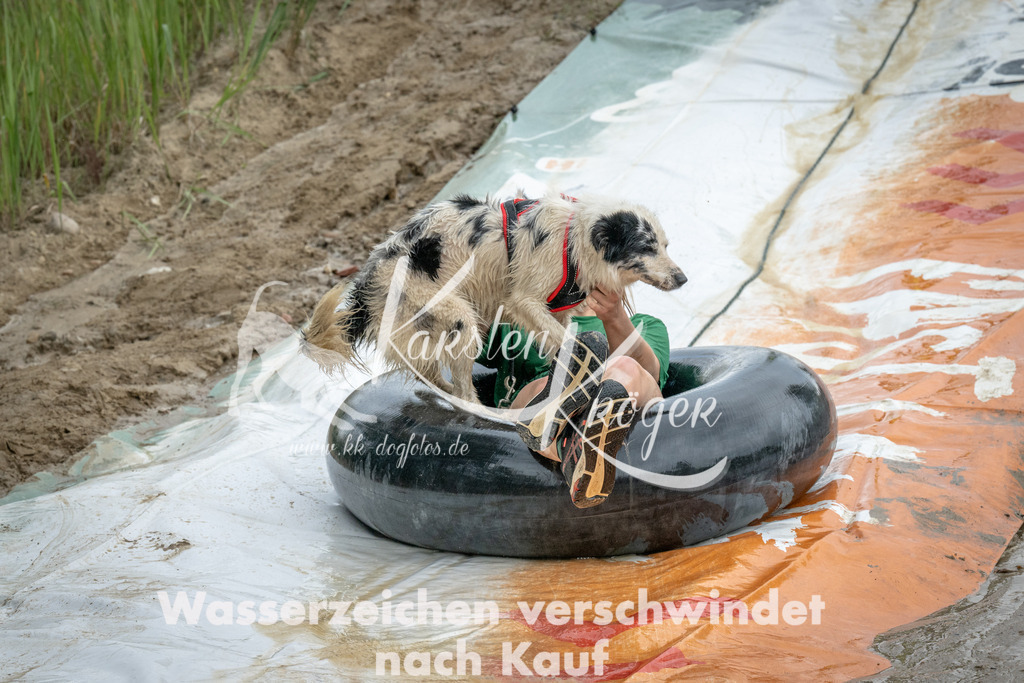 1534_ZZ97916 | kk-dogfotos