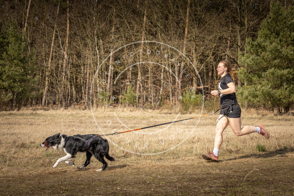 DV3A5729 | Hundefotografie, Tierfotograf, Pfotenfotografie, Fotoshooting Hund, Hunde Portrait, Hundesport, Hundeportraits, Heideshooting, Hunde, Sportfotograf, Hundefotograf, Turnierhundsport, THS,  - Realisiert mit Pictrs.com