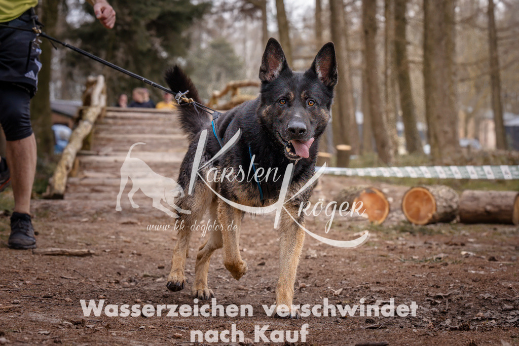 1613_ZZ93128 | kk-dogfotos