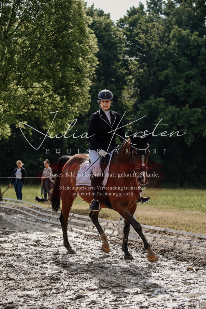 DSC_9007 | Pferde- und Turnierfotografie in Westsachsen. Pferdeportraits, Auftragszeichnungen und intuitive Kunst.