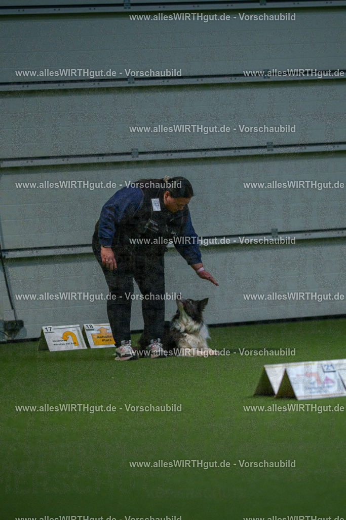 7R500284 | Professionelle Tierfotografie in Mönchengladbach von Daniel Wirth (allesWIRTHgut). Liebevolle & natürliche Bilder von Hunden & Katzen für unvergessliche Erinnerungen.