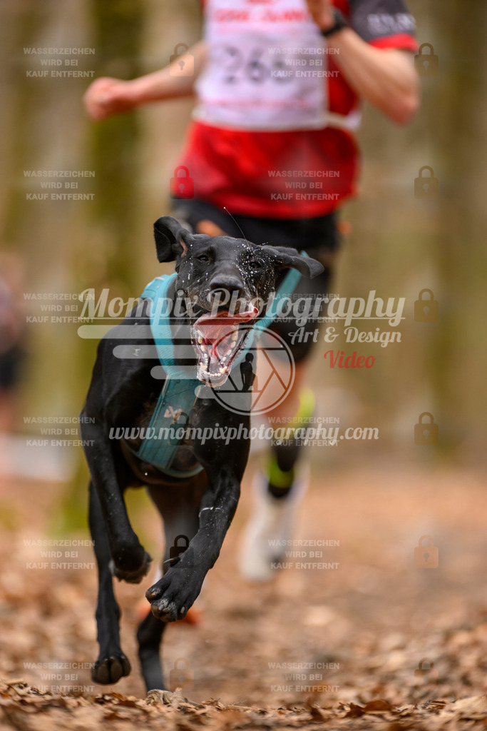 MompixPhotography_Habay2025_SA_CCC-12 | PayLife