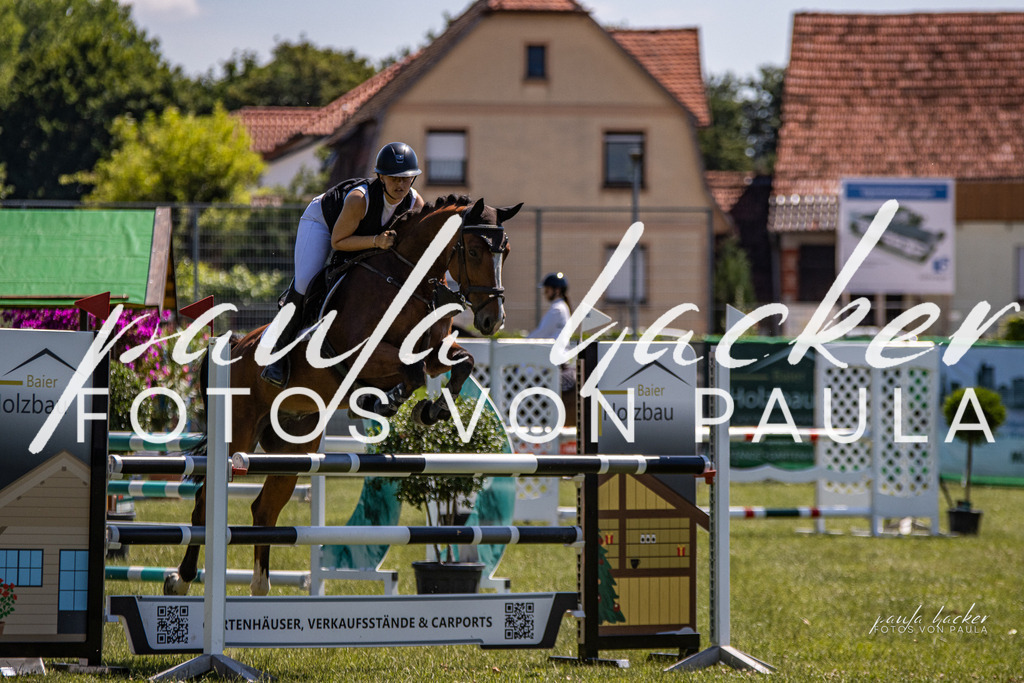 IMG_0282 | Erleben Sie dynamische Sport- und emotionale Tierfotografie in Süddeutschland mit Fotos von Paula. Spezialisiert auf Pferde- und Hundefotografie sowie Sportevents. Kontaktieren Sie mich für einzigartige und ausdrucksstarke Bilder Ihrer besonderen Momente.