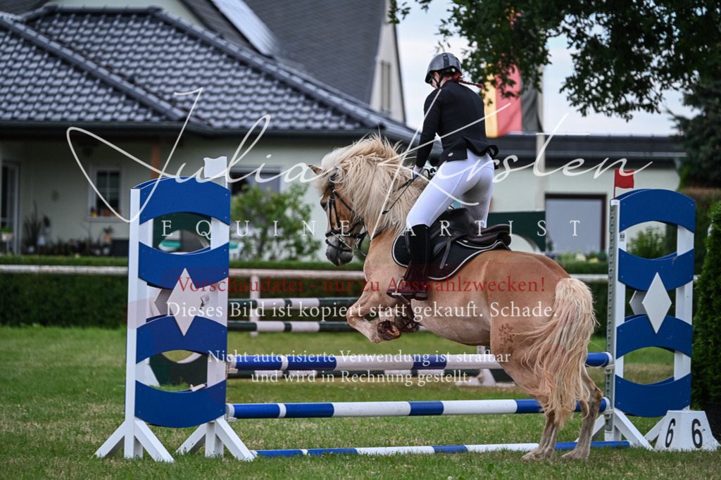 DSC_8409 | Pferde- und Turnierfotografie in Westsachsen. Pferdeportraits, Auftragszeichnungen und intuitive Kunst.