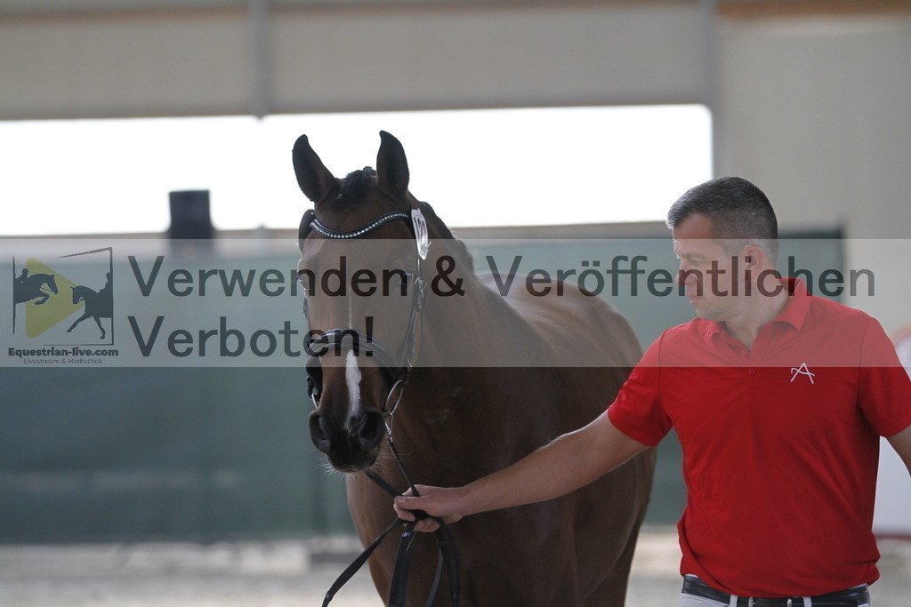 _MG_9590 | equestrian-live-com