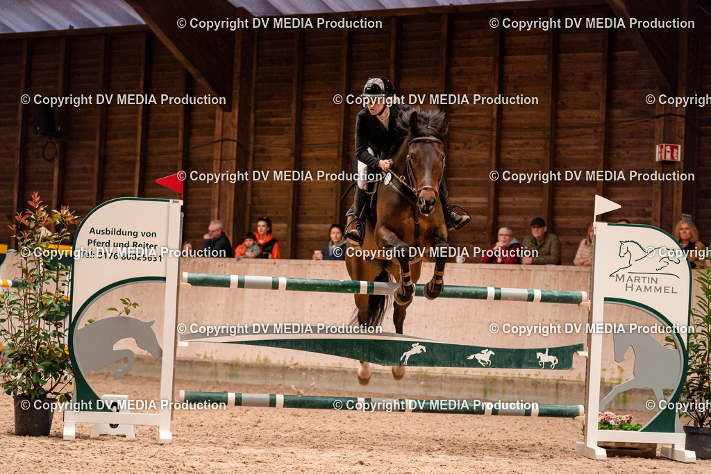 Springen Tag 3-323 | dv-media-shop - Realisiert mit Pictrs.com