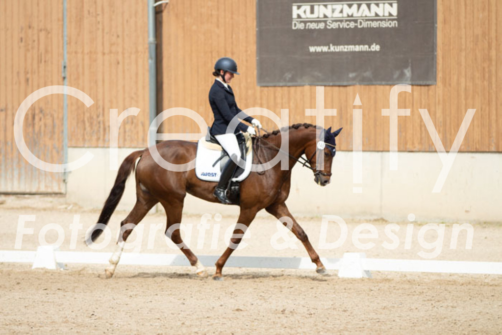 IMG_1578 | Creatify Fotografie