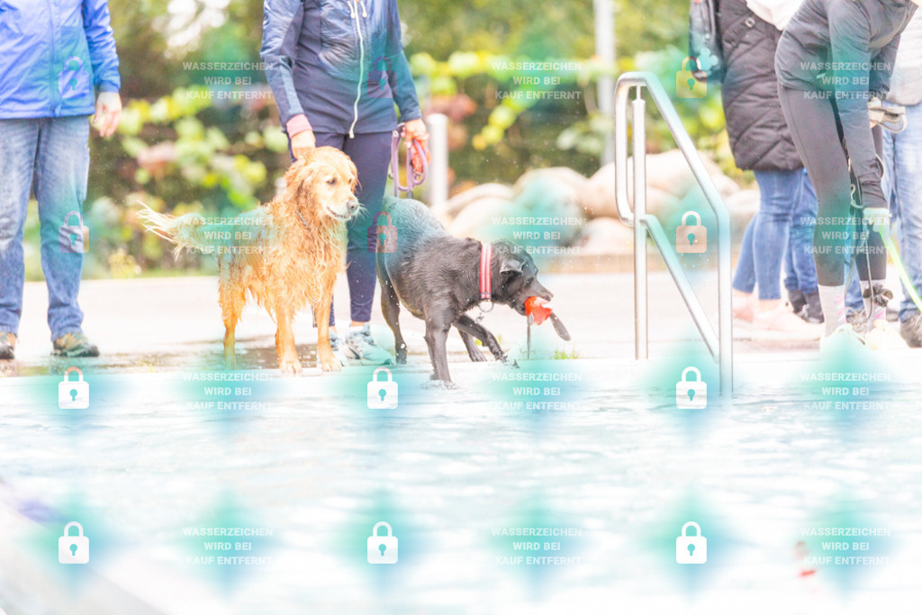 _HP_7186_1000o | HetPix, HetPix Fotodesign, Fotografie, Fotodesign, Webshop, Sportfotografie, Portraitfotografie, Onlineshop, Sportfotografie, Polch, Motorsportfotografie, Eventfotografie