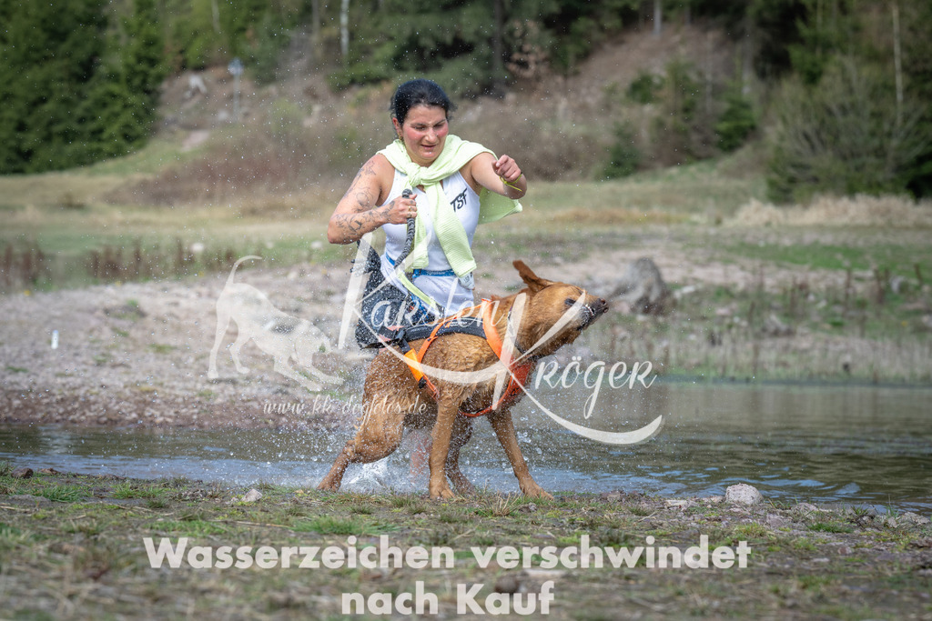 1100_ZZ92676 | kk-dogfotos