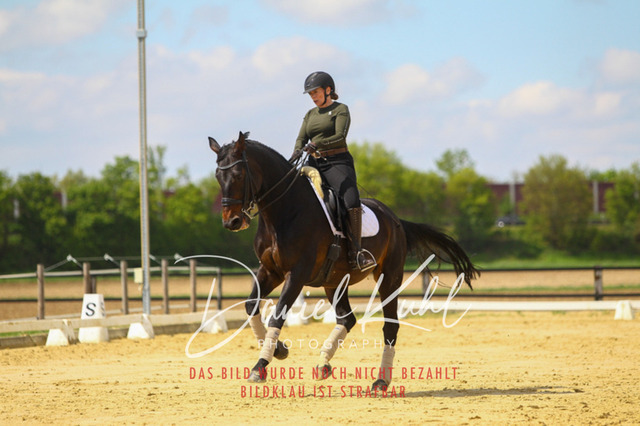 DKP43117 | Turniersportfotografie; Pferdefotografie; Dressurfotografie