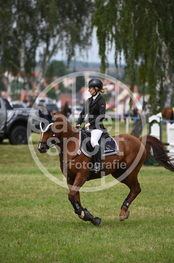 DSC_1941 | sattelsport - Realisiert mit Pictrs.com