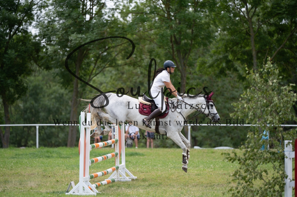 A7V06799 | Pferdefotograf