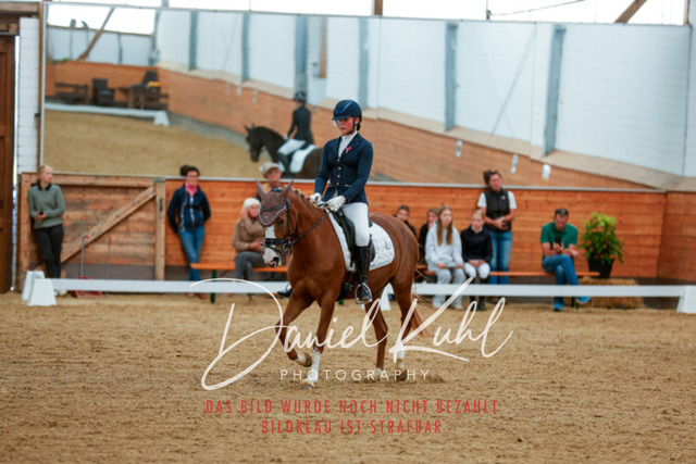 _62_5659 | Turniersportfotografie; Pferdefotografie; Dressurfotografie