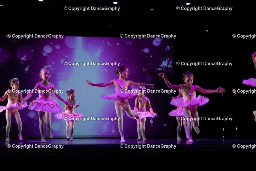 GPHY6125 | DanceGraphy - Realisiert mit Pictrs.com