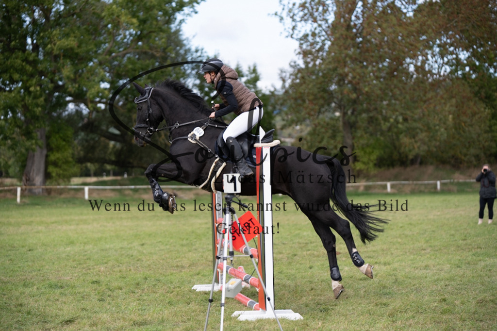 A7V06729 | Pferdefotograf