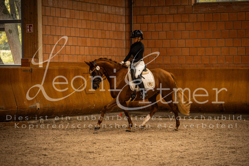 1Reiten00120 | Leoni Ertmer Photography - Realisiert mit Pictrs.com